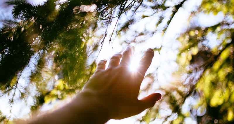 sunce