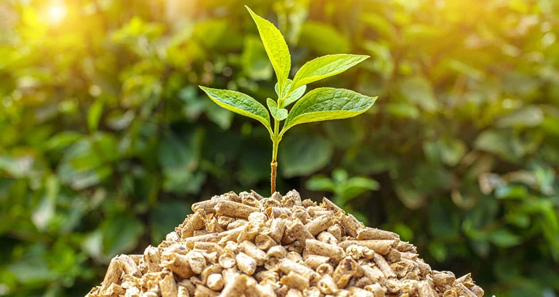 Foto: shutterstock.com